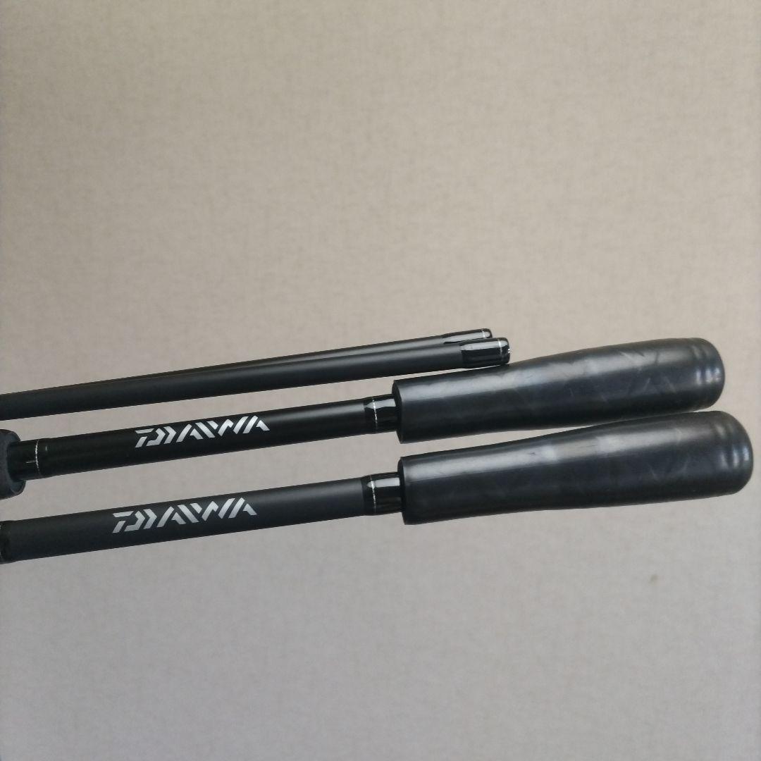 カープフィッシング　鯉釣り　2本セット